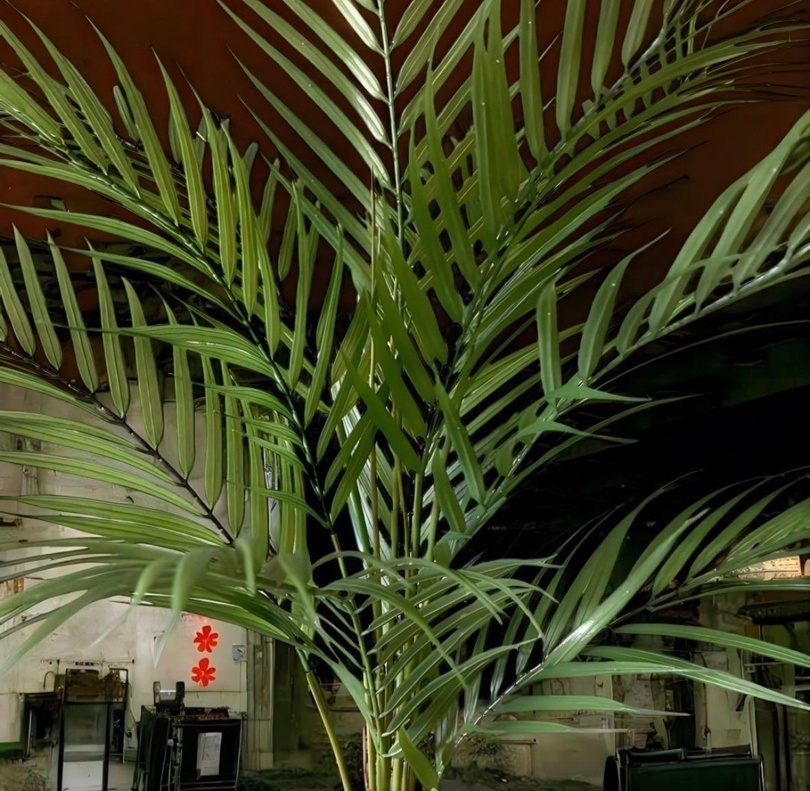 光触媒 人工観葉植物 ウォールグリーン フェイクグリーン アレカヤシ94