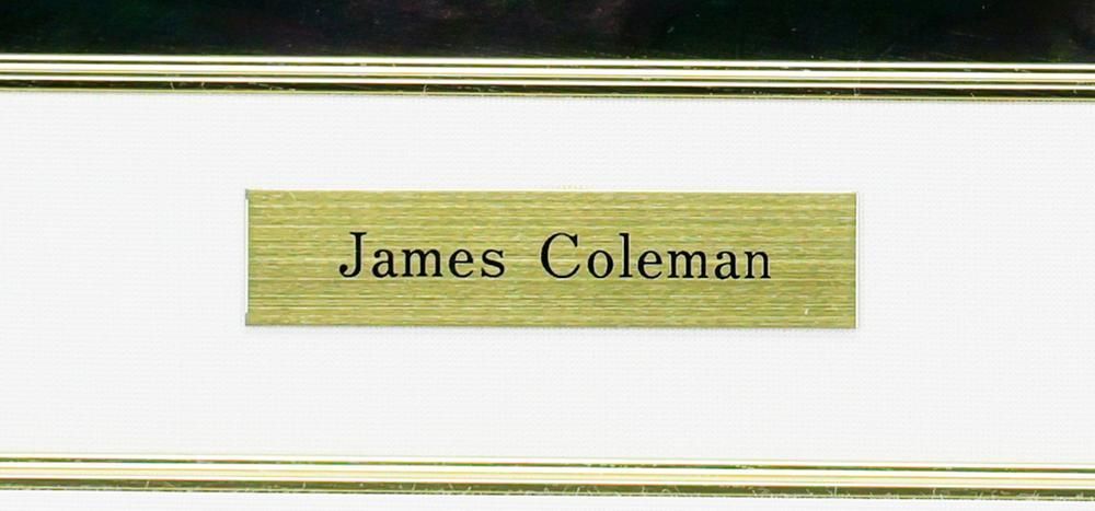 【真作】【WISH】ジェームス・コールマン James Coleman「ソフト グロー」シルクスクリーン 約12号 大作 直筆サイン #26052611 【真作】【WISH】ジェームス・コールマン James Coleman「ソフト グロー」シルクスクリーン 約12号 大作 直筆サイン #26052611