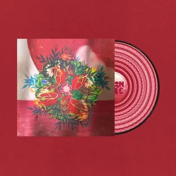ソナップル ー ソウル病 10 周年 LP