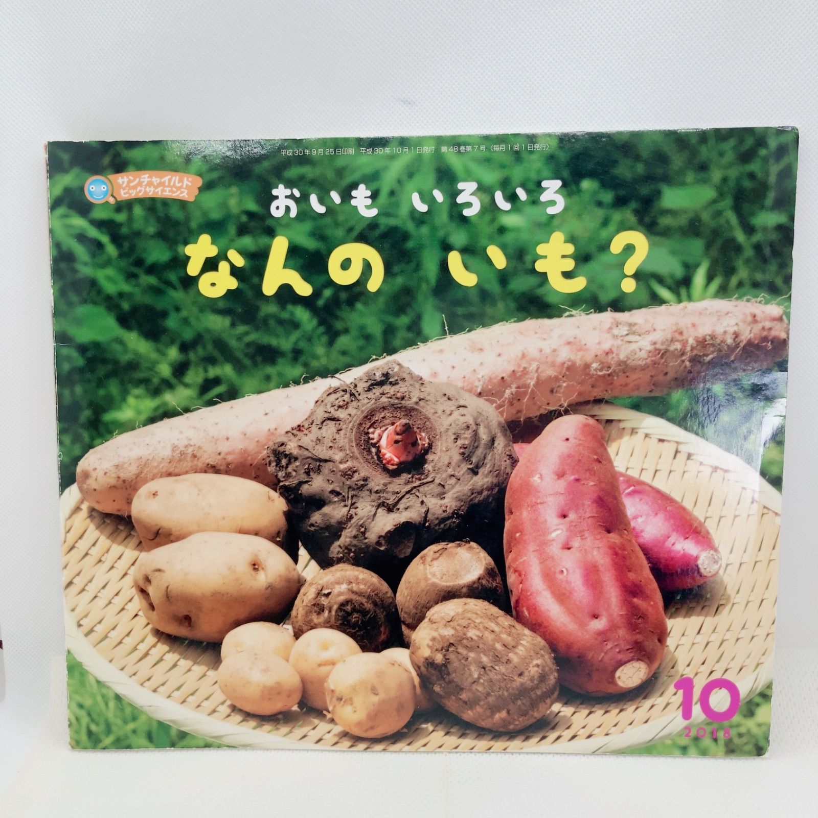 A866 サンチャイルドビッグサイエンス ほんとうのおおきさでみてみよう