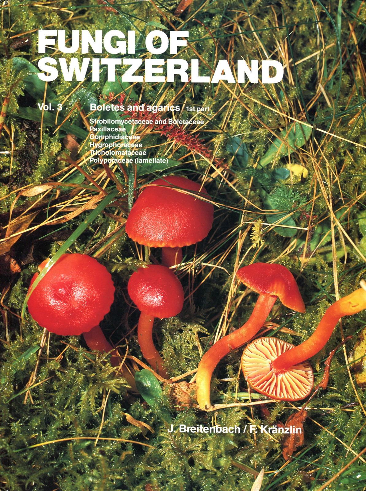 [2A]Fungi of Switzerland: A Contribution to the Knowledge of the Fungal Flora of Switzerland : Boletes and Aparics (Vol 3)