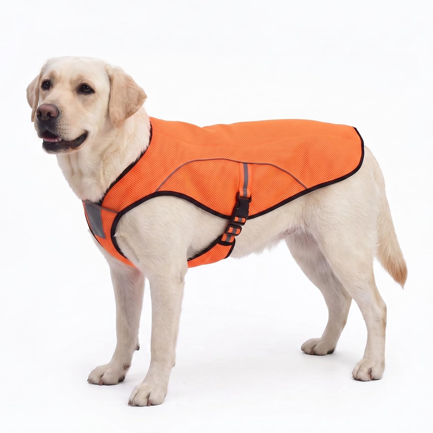 犬用クールベスト ひんやりお散歩タンクトップ 冷感犬服 熱中症対策グッズ 秋冬防寒犬服兼用 (3L, オレンジ)as 3068416d