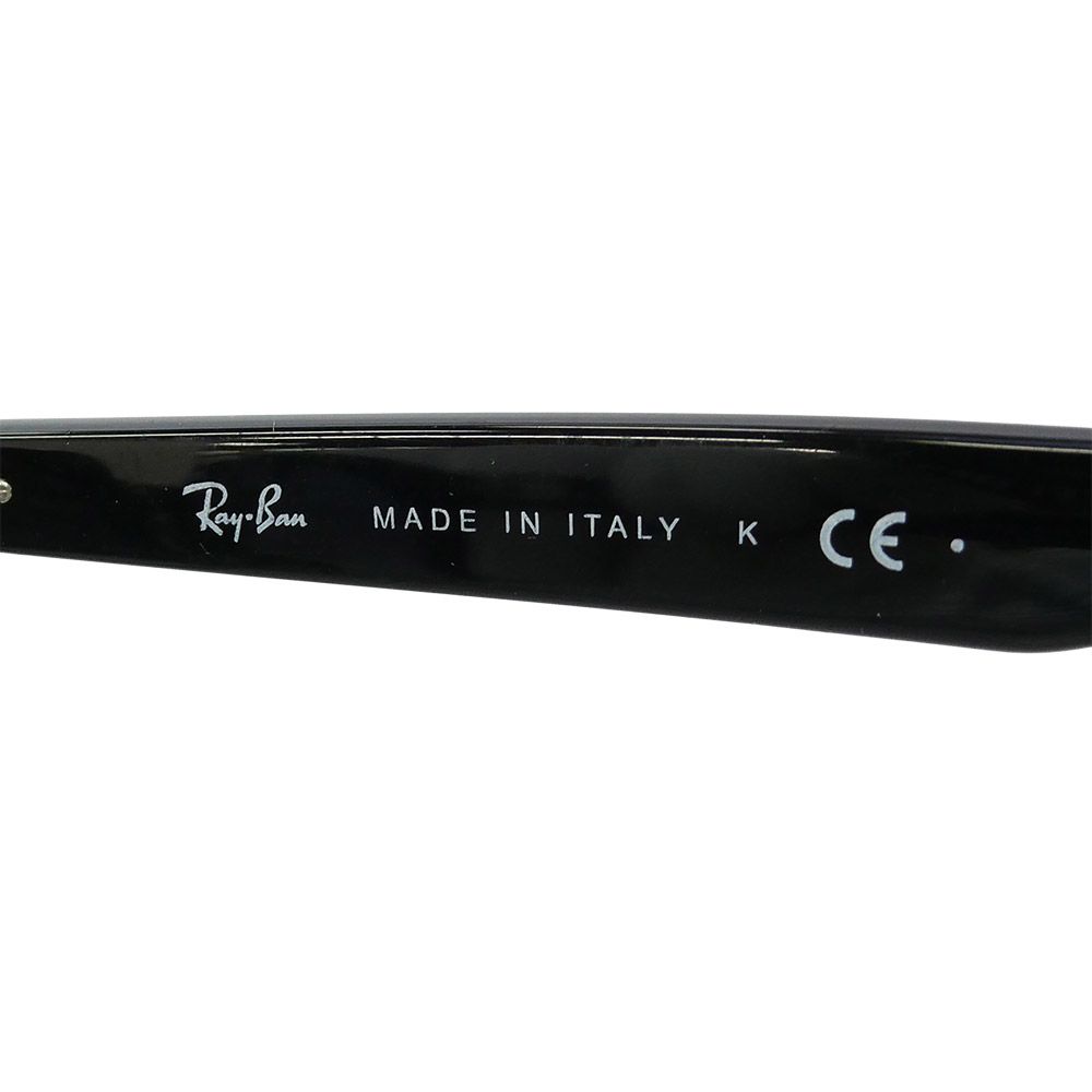 Ray-Ban レイバン RB4258-F ウェリントンシェイプ サングラス アイ