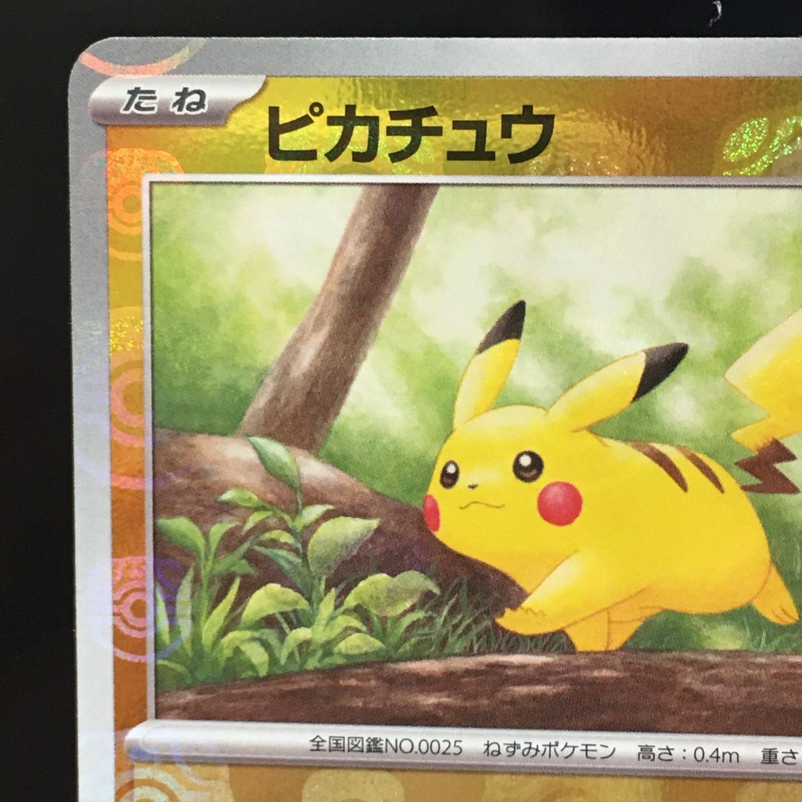 三沢店56-24-0611] ポケモンカード ピカチュウ マスターボールミラー