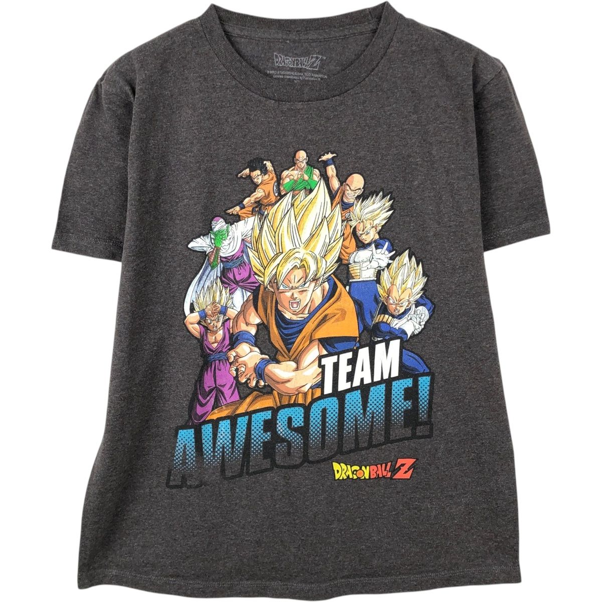【Tシャツ】半袖　ドラゴンボールZ　プリント　アニメ　新品　使用感　古着 古着 DRAGONBALL Z ドラゴンボールZ アニメ キャラクタープリントT