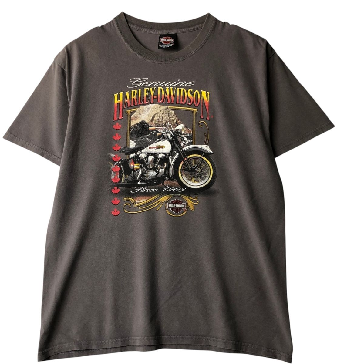 古着 00年代 ハーレーダビッドソン Harley-Davidson モーターサイクル バイクTシャツ カナダ製 メンズL相当/eaa648577