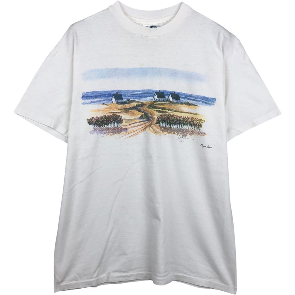 古着 90年代 ヘインズ Hanes BEEFY-T アートTシャツ USA製 メンズL相当 ヴィンテージ/eaa648801
