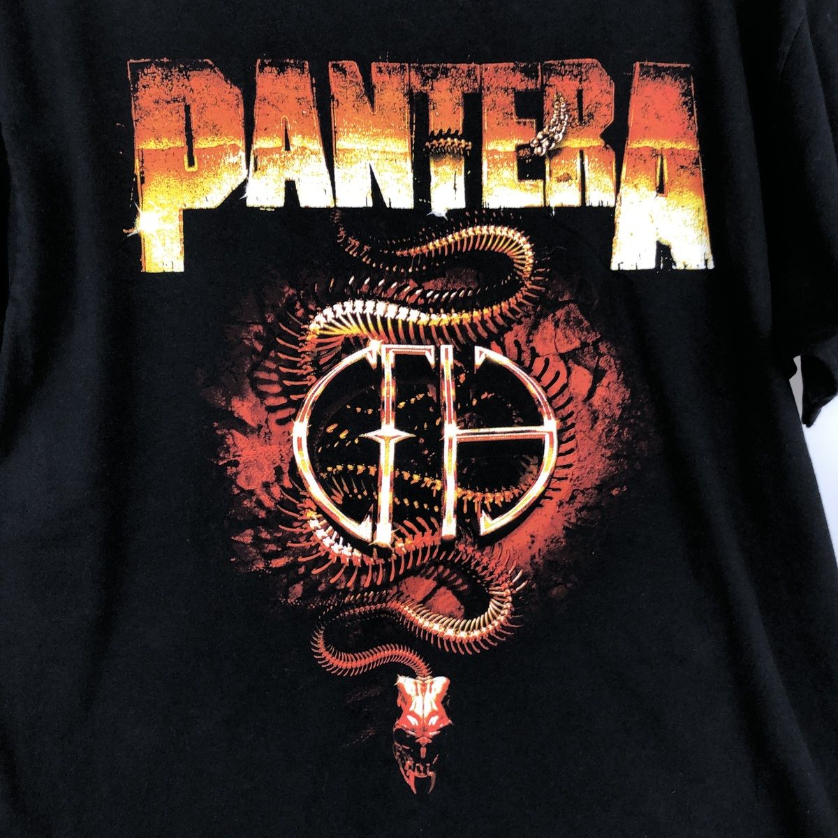 古着 PANTERA パンテラ バンドTシャツ バンT メンズL相当/eaa648314