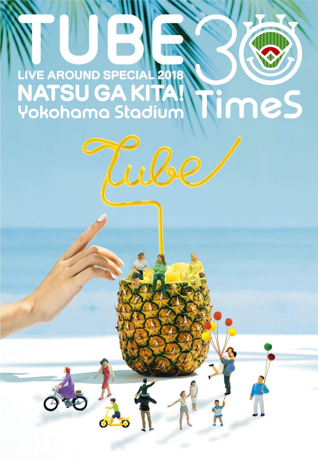 TUBE LIVE AROUND SPECIAL 2018 夏が来た! ~Yokohama Stadium 30 Times~ [Blu-ray]