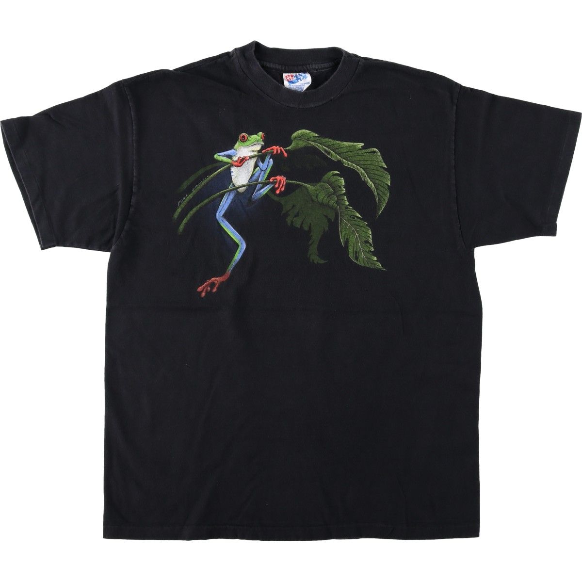 古着 90年代 ヘインズ Hanes BEEFY-T カエル柄 アニマルTシャツ USA製 メンズL相当 ヴィンテージ/eaa623670
