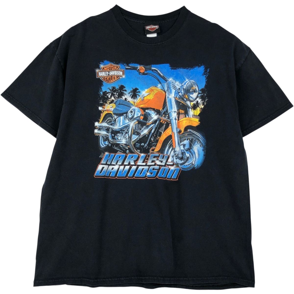 古着 ハーレーダビッドソン Harley-Davidson モーターサイクル バイクTシャツ メンズXL相当/eaa621567