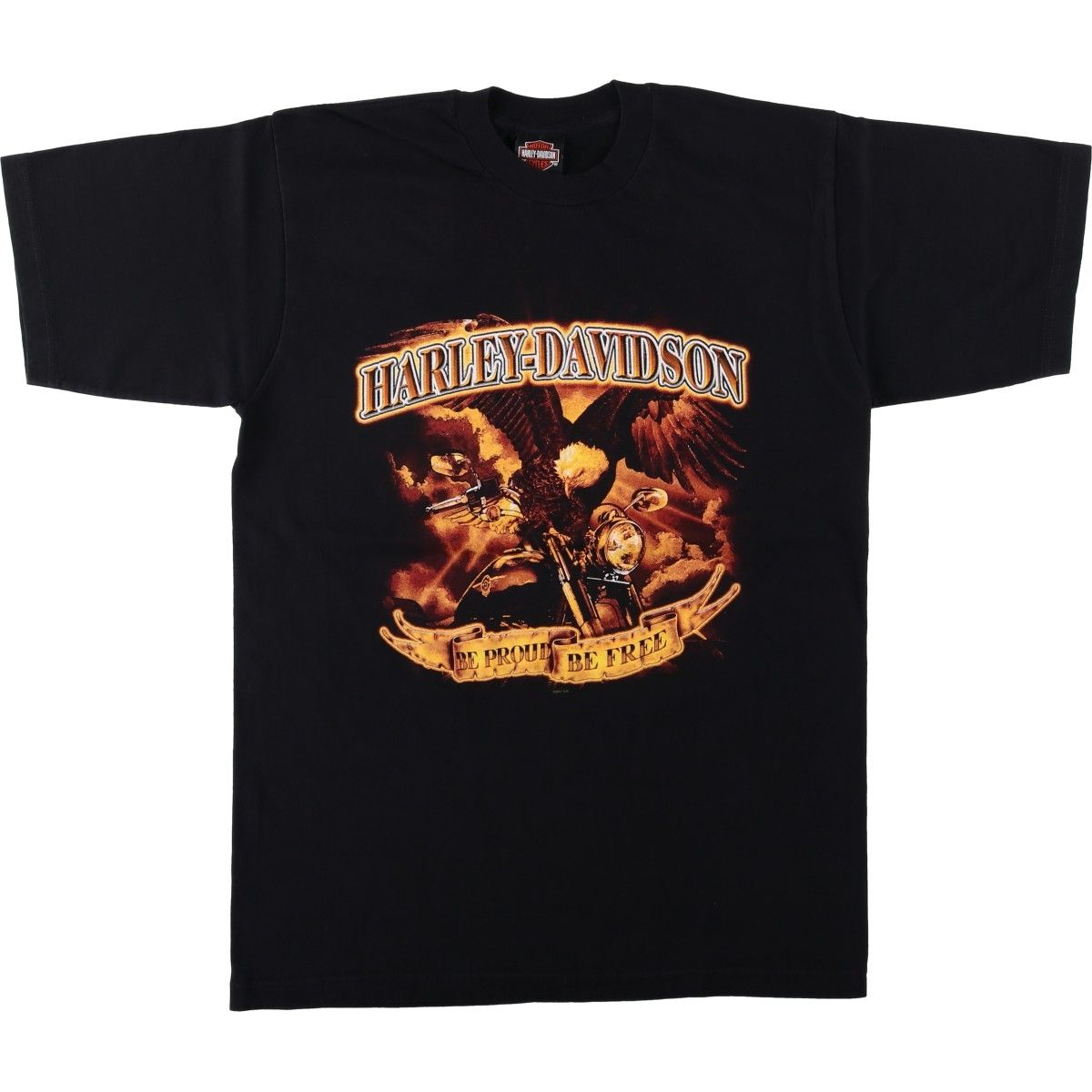 古着 00年代 Harley-Davidson ハーレーダビッドソン 鷲柄 イーグル柄 モーターサイクル バイクTシャツ USA製 メンズL相当/eaa621058