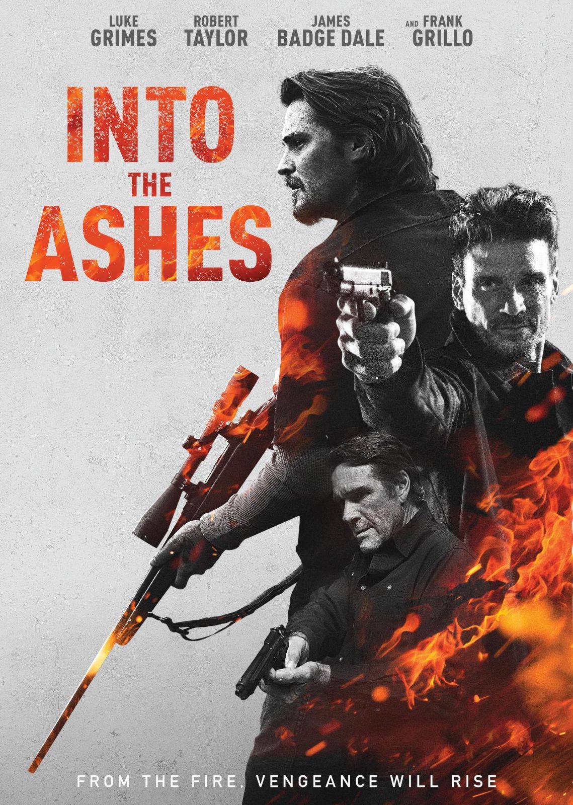 Into The Ashes [DVD]