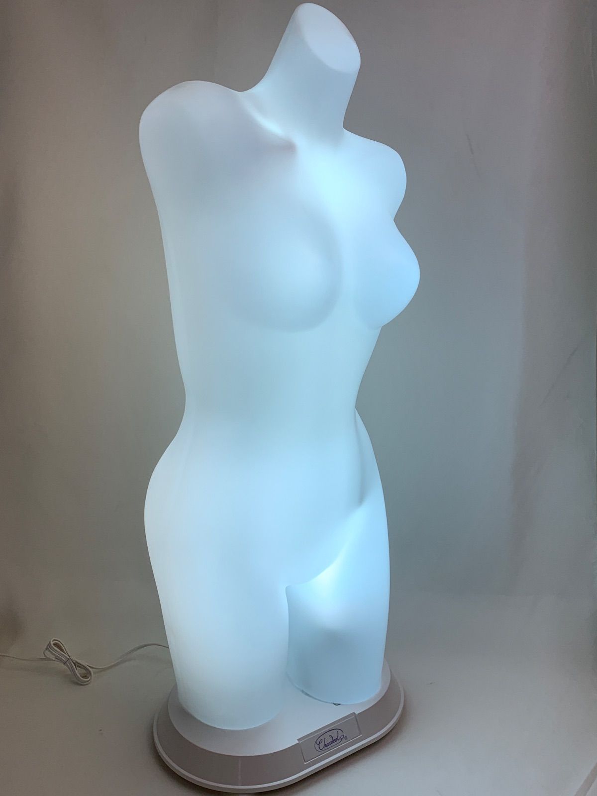 【フォロー割対象商品】美品‼︎ シャンデール 電飾トルソー マネキン ボディ