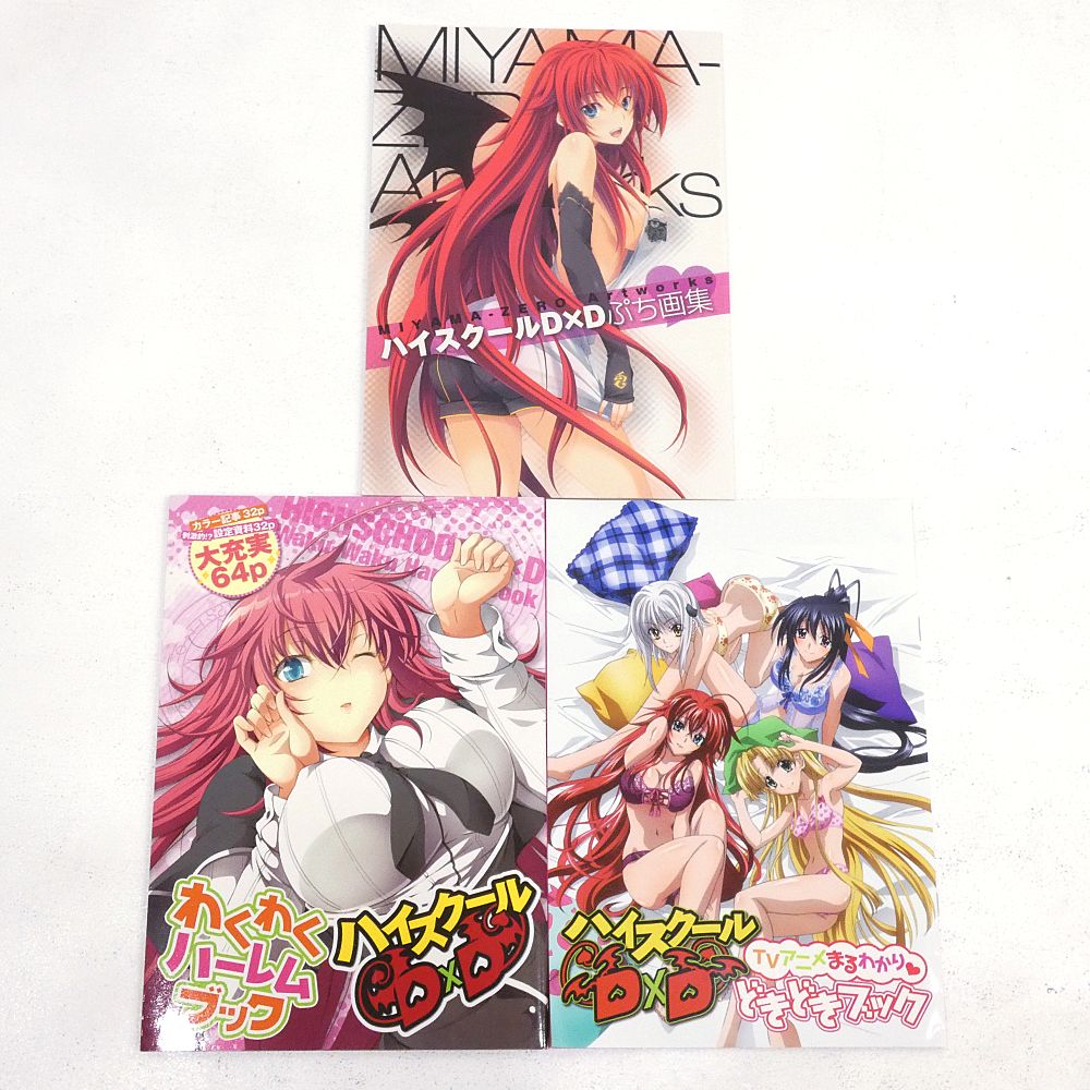 【小牧店】ハイスクールD×D　月刊ドラゴンエイジ/ドラゴンマガジン　付録3冊セット 【PI209-5707】
