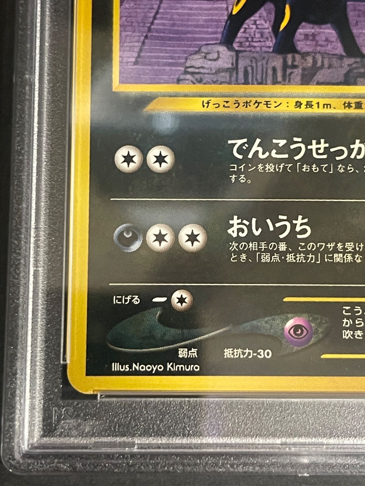 ポケモンカード 2000年 ブラッキー 旧裏 プロモ Neo プレミアム