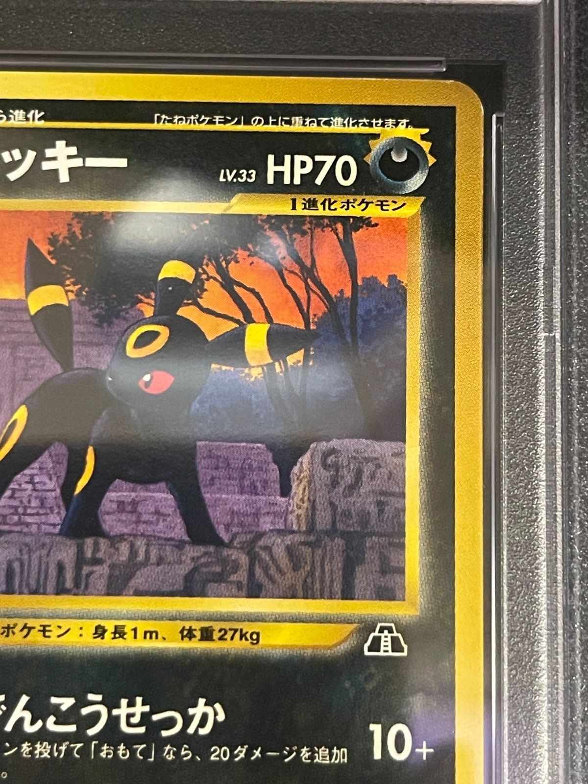 ポケモンカード 2000年 ブラッキー 旧裏 プロモ Neo プレミアム