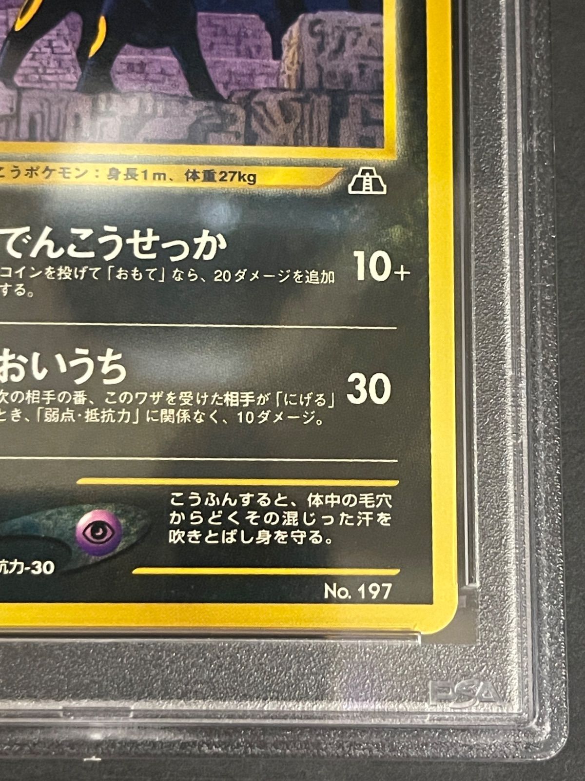 ポケモンカード 2000年 ブラッキー 旧裏 プロモ Neo プレミアム