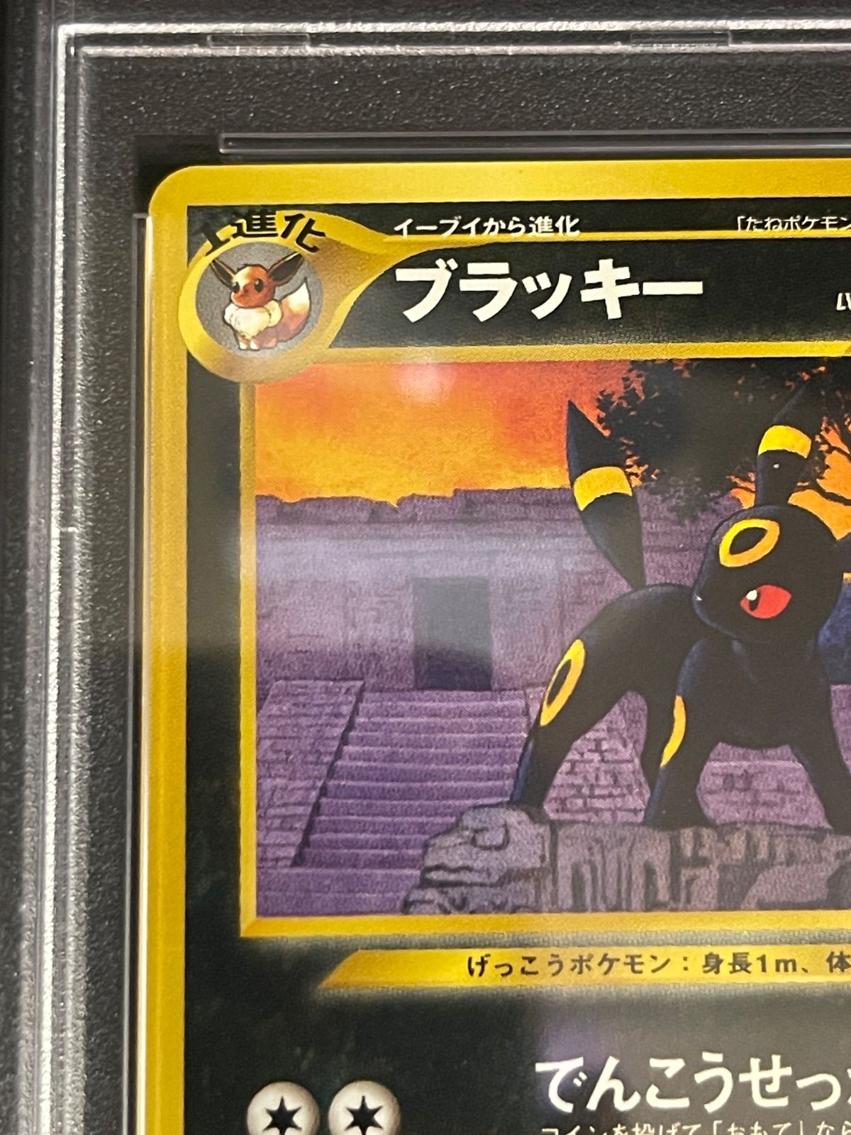 ポケモンカード 2000年 ブラッキー 旧裏 プロモ Neo プレミアム