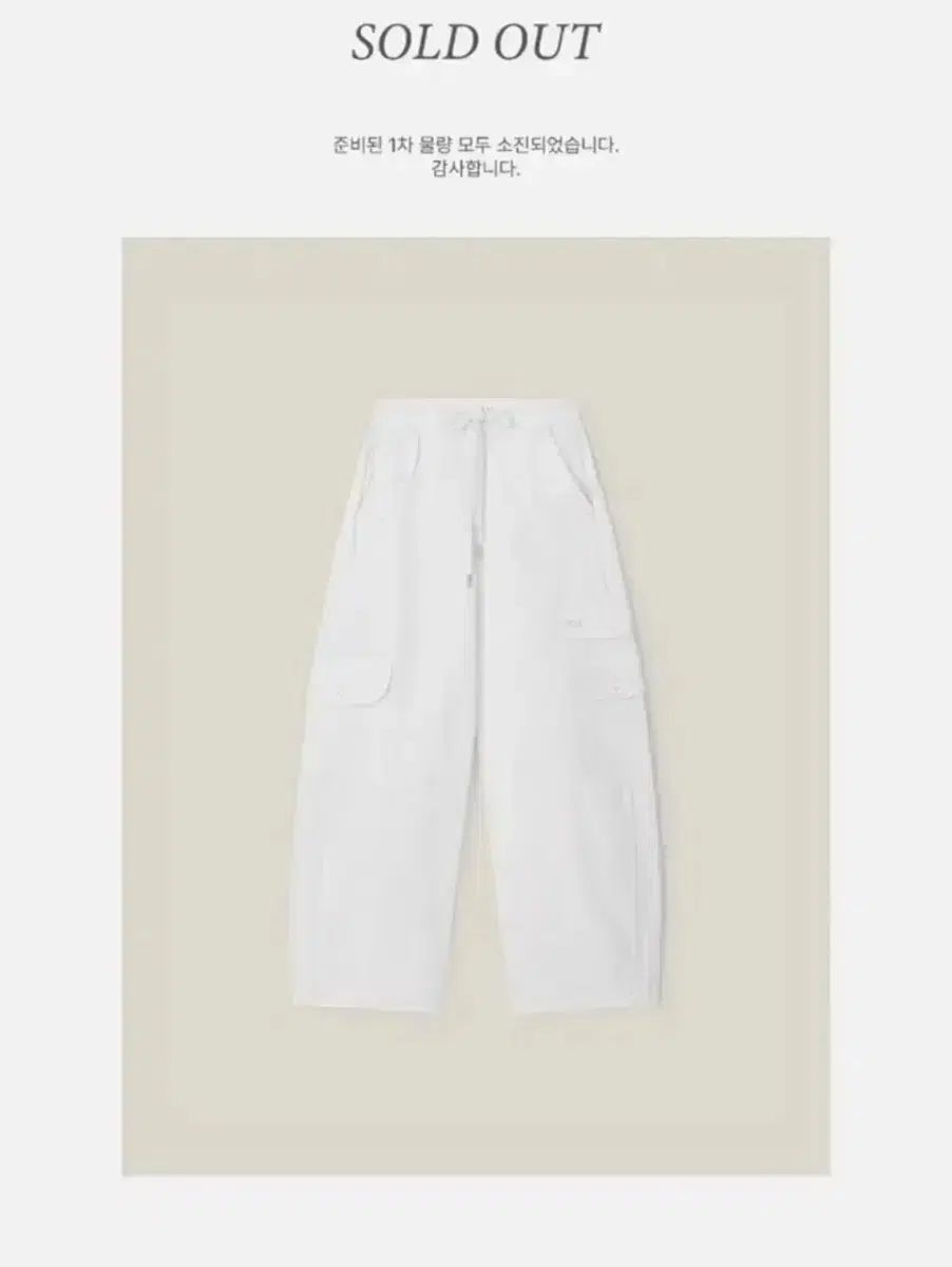 THETIS レイ カーゴ ズボン パンツ