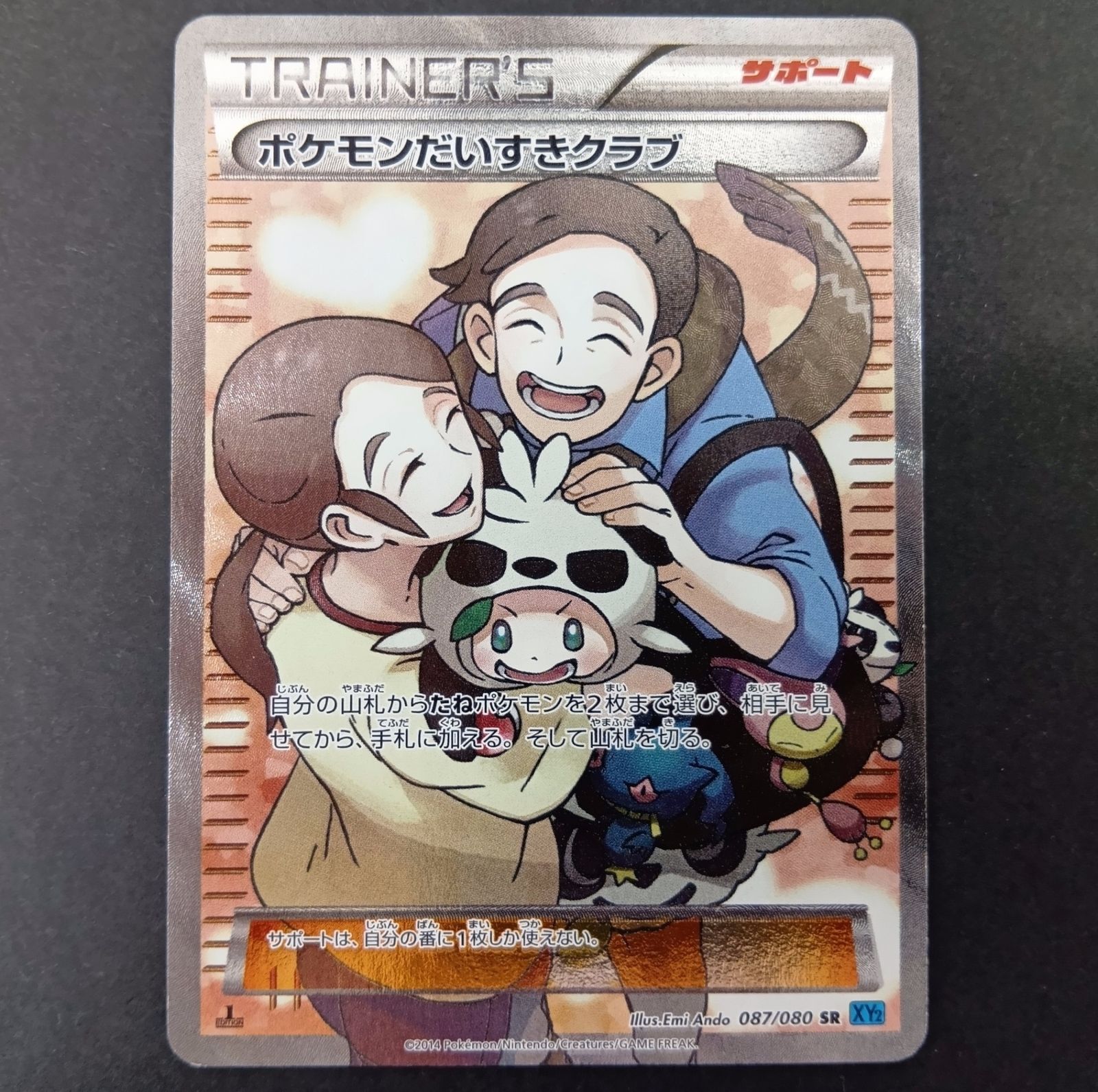★ポケモンカードゲーム ワイルドブレイズ ＸＹシリーズ 087/080 1ED)ポケモンだいすきクラブ SR