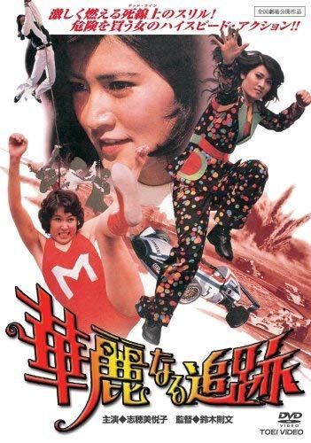 華麗なる追跡 [DVD] [レンタル落ち]