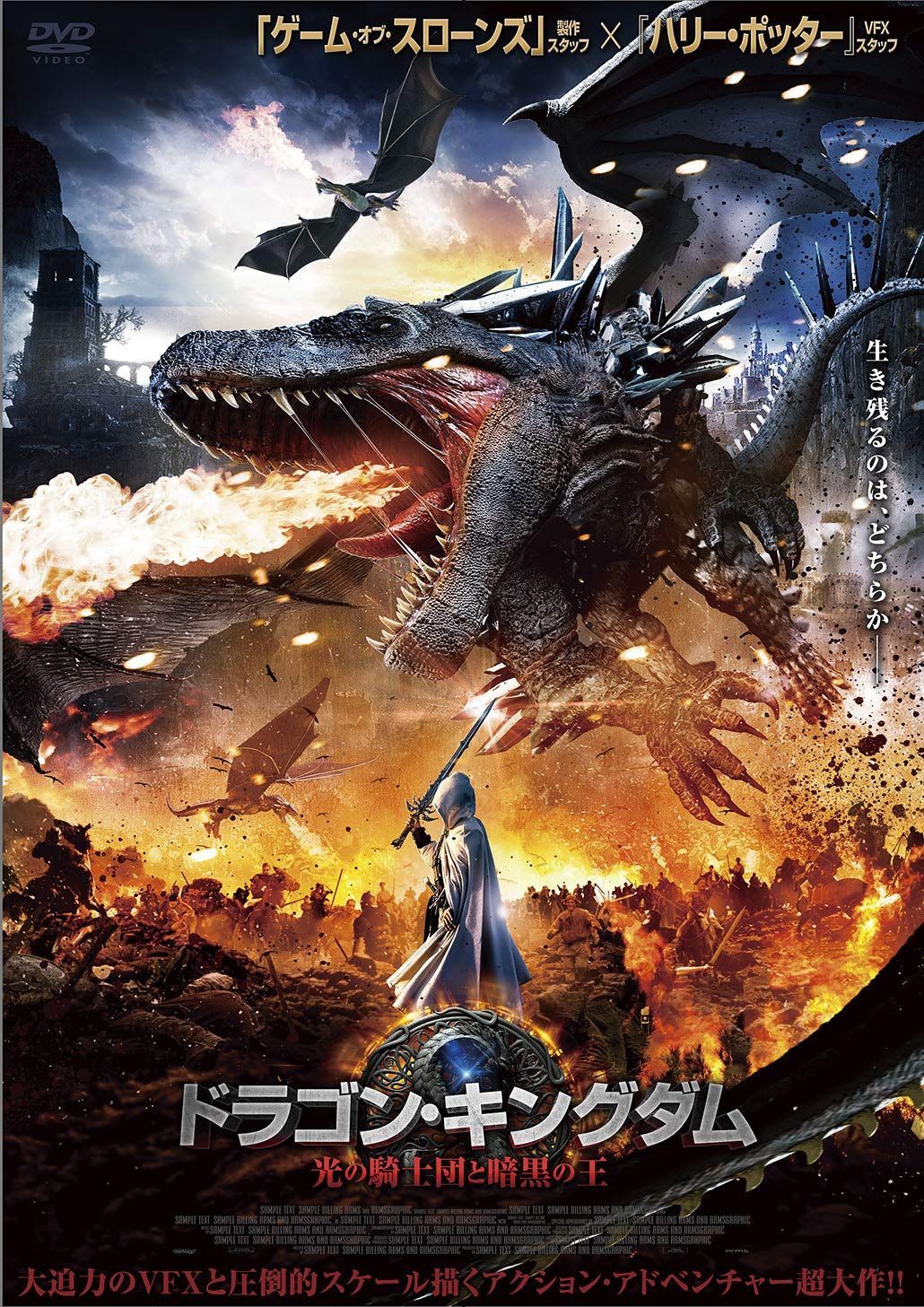 ドラゴン・キングダム 光の騎士団と暗黒の王 [DVD]