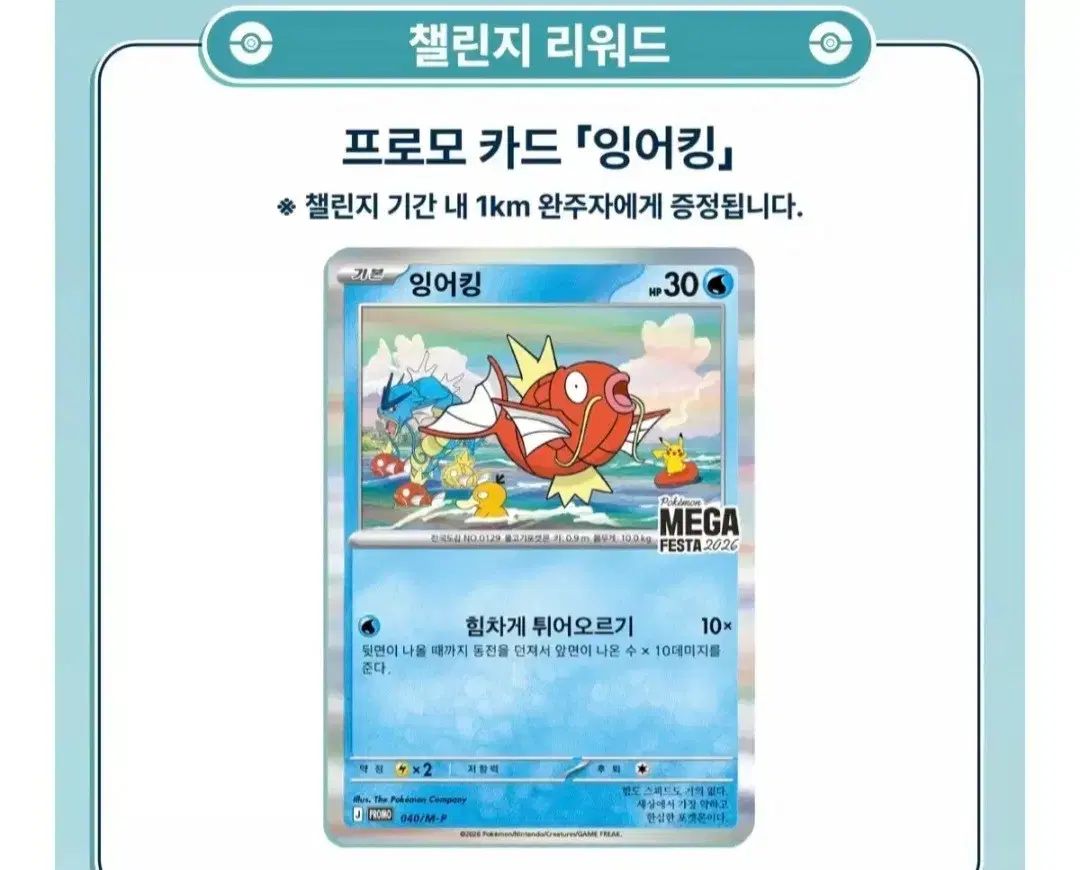 コイキング プロモカード 出品