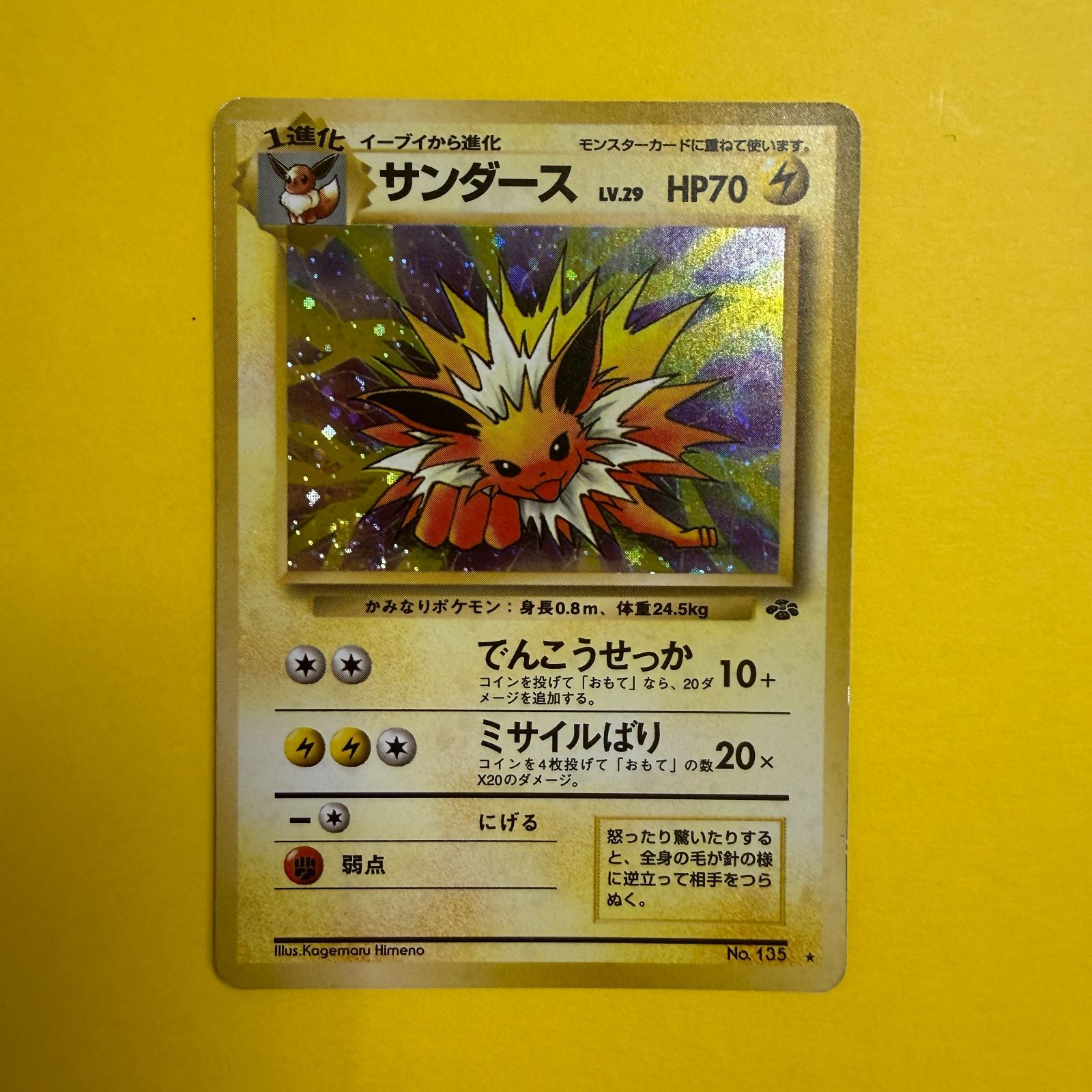 旧裏）サンダース LV29 HP70【☆】 - メルカリ