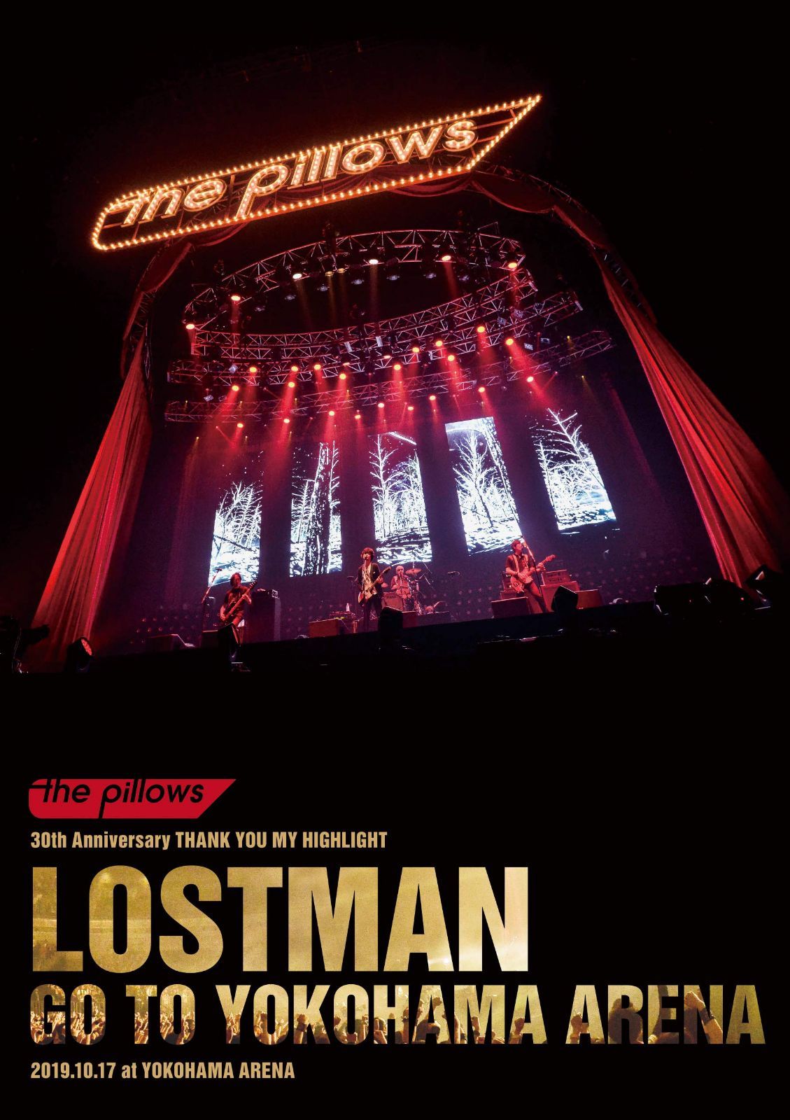 LOSTMAN GO TO YOKOHAMA ARENA 2019.10.17 at YOKOHAMA ARENA(初回限定版)(DVD+2CD)