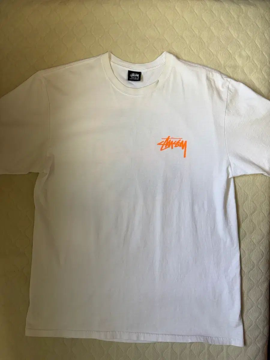 L STUSSY Coast LINE Tシャツ 白