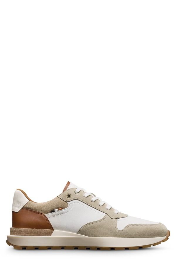 アレン エドモンズ メンズ シューズ スニーカー レース Allen Edmonds LionelaceUp Sneaker White Multi ホワイト