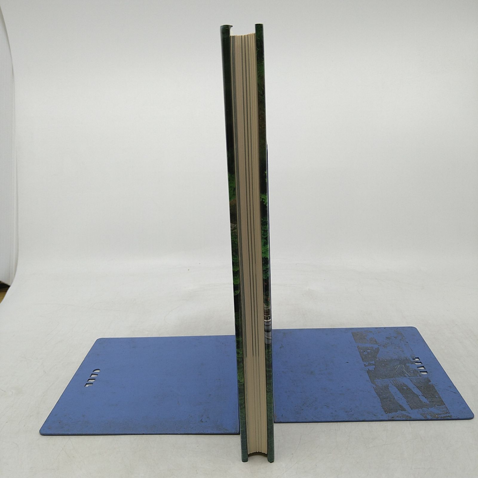 全巻セット】探訪日本の庭 全10巻+別冊2冊 12冊セット 小学館