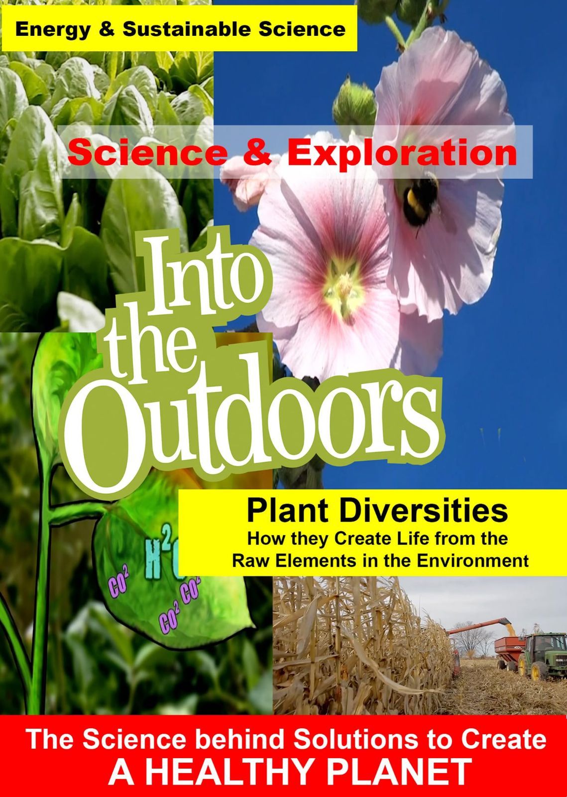 Plant Diversities - How they Create Life from the Raw Elements in the Environment [DVD]
