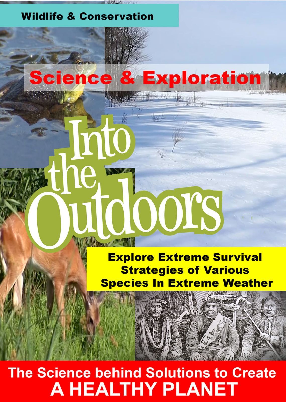 Explore Extreme Survival Strategies of Various Species In Extreme Weather [DVD]