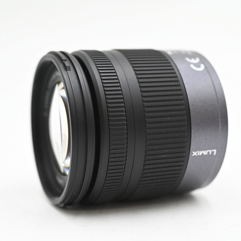 Panasonic DMC-G1 デジタル一眼レフカメラ G VARIO 3.5-5.6 14-45mm Japanese only ミラーレス一眼レフカメラ 【中古】 Panasonic DMC-G1 デジタル一眼レフカメラ G VARIO 3.5-5.6 14-45mm Japanese only ミラーレス一眼レフカメラ 【中古】