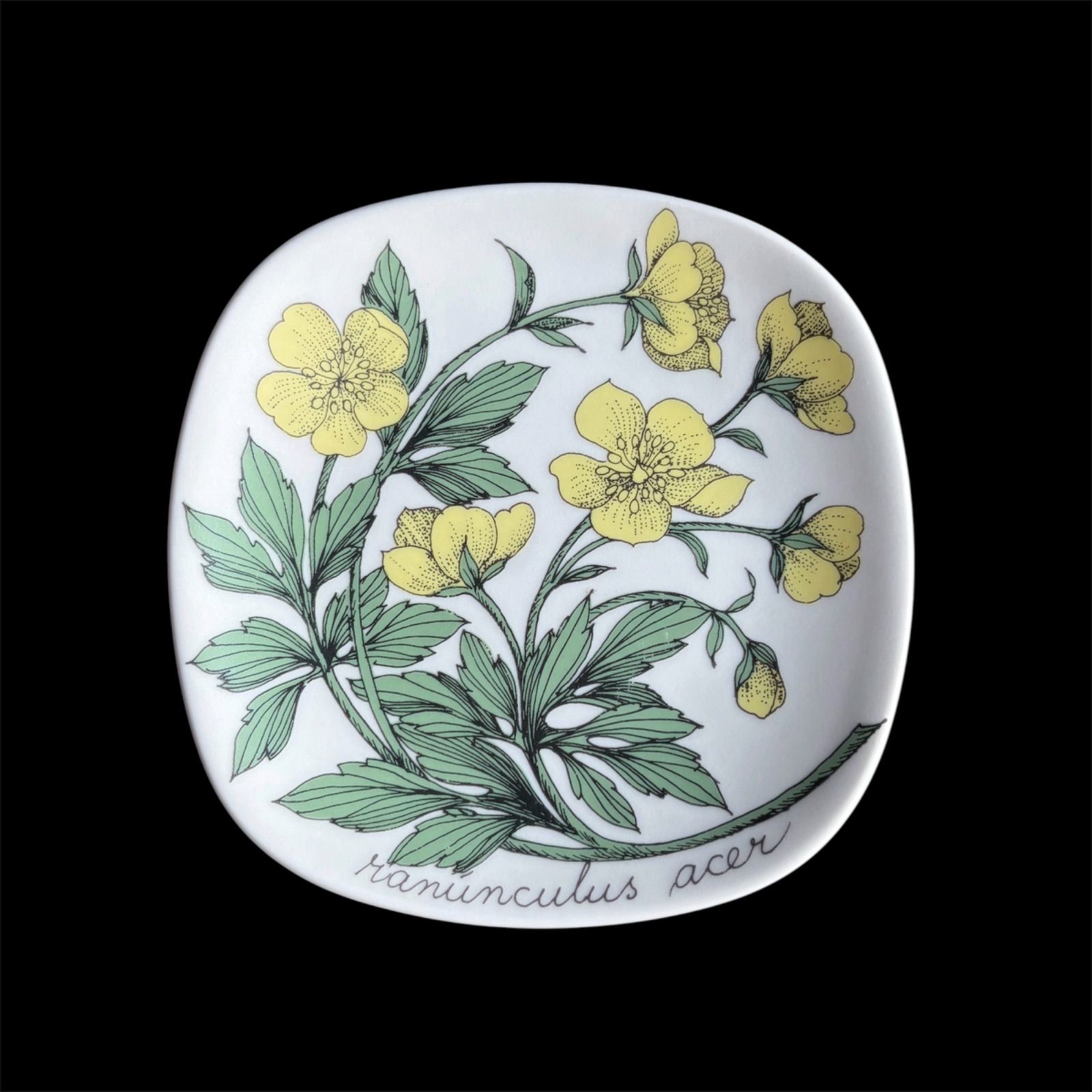 値下げしました！新古品！本格派 ポテンツァ ◽︎ナノニードルからラジオ波 値下げしました！新古品！本格派 ポテンツァ ◽︎ナノニードルからラジオ波