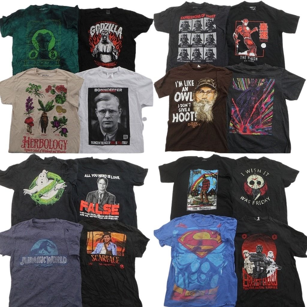 古着卸 まとめ売り 映画・ドラマ Tシャツ 16枚セット ( メンズ M ) ホラー ゴジラ ジュラシックワールド 人物 中古 古着 NF2281