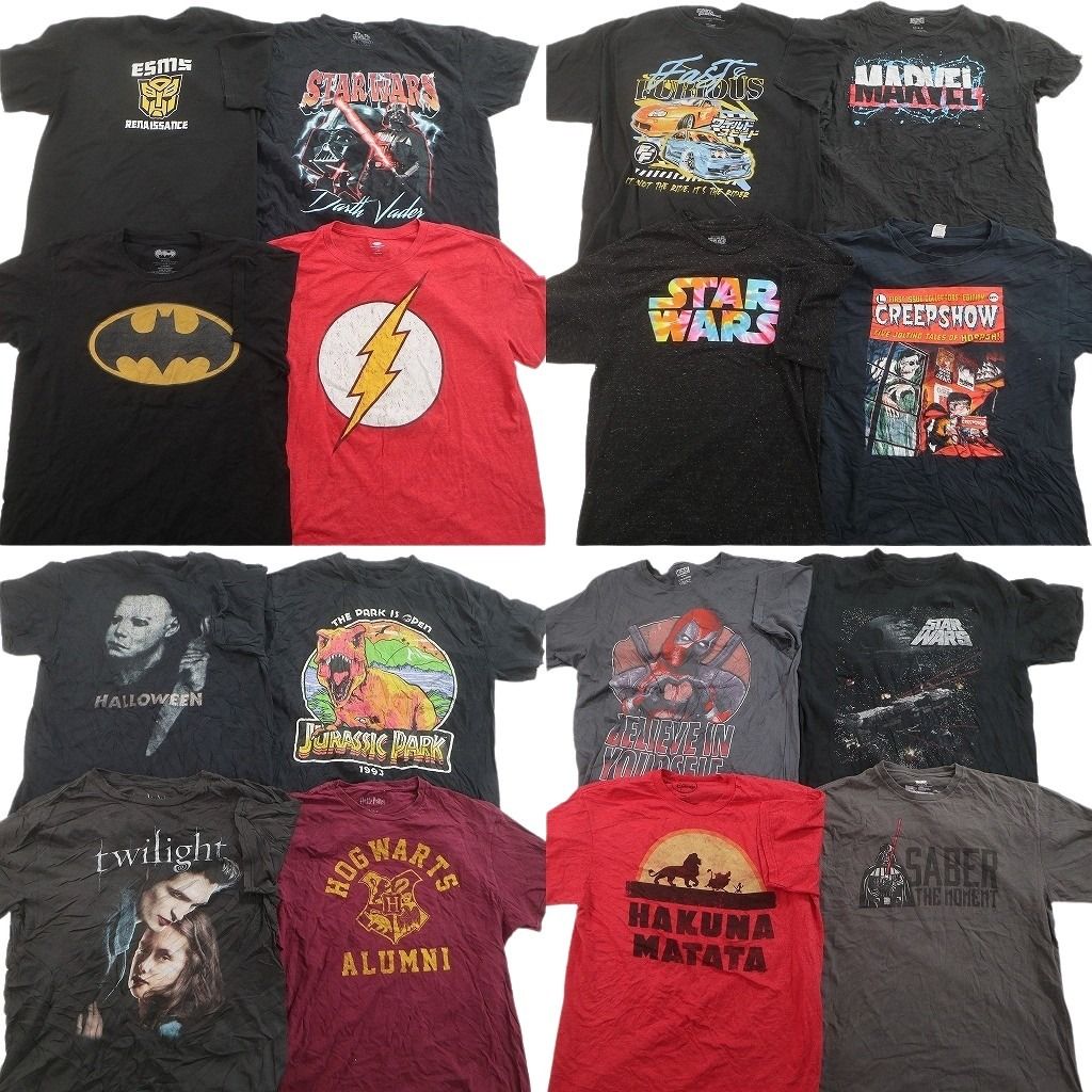 古着卸 まとめ売り 映画・ドラマ Tシャツ 16枚セット ( メンズ L ) マーベル ライオンキング ワイルドスピード 中古 古着 NF2285