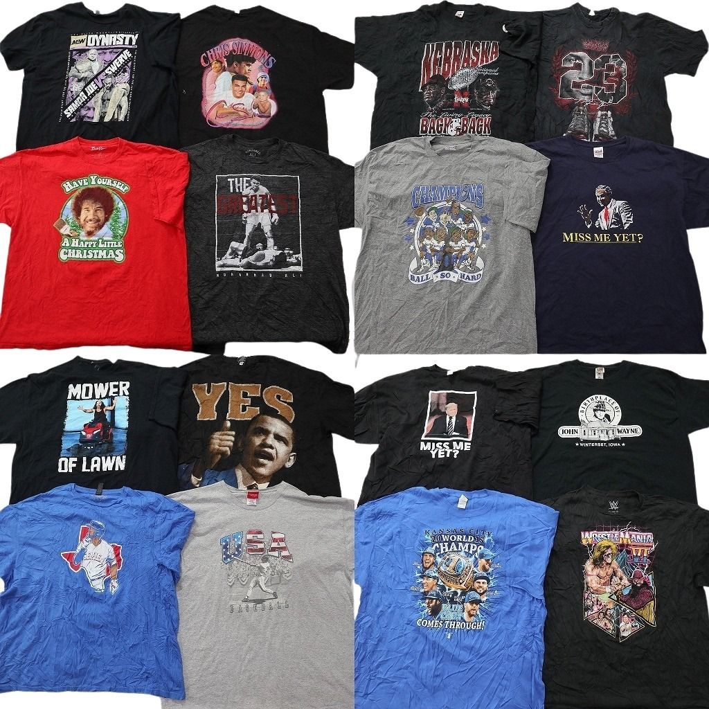 古着卸 まとめ売り 人物 Tシャツ 16枚セット ( メンズ 2XL/3XL ) プロチーム MLB モハメドアリ レッスルマニア 中古 古着 NF2461