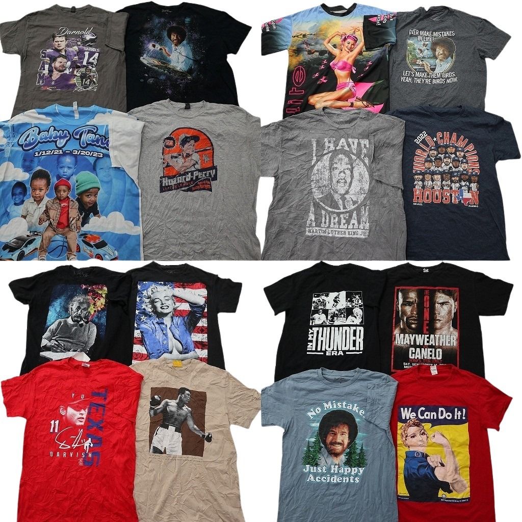 古着卸 まとめ売り 人物 Tシャツ 16枚セット ( メンズ S/M/L/2XL ) マリリンモンロー プロチーム MLB NFL アインシュタイン 中古 NF2464