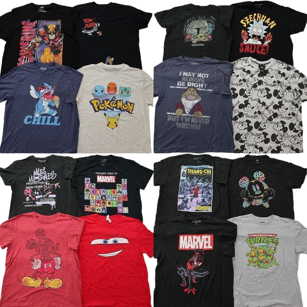 古着卸 まとめ売り キャラクター Tシャツ 16枚セット ( メンズ XL ) トムとジェリー ポケモン タートルズ ディズニー 中古 古着 NF2466