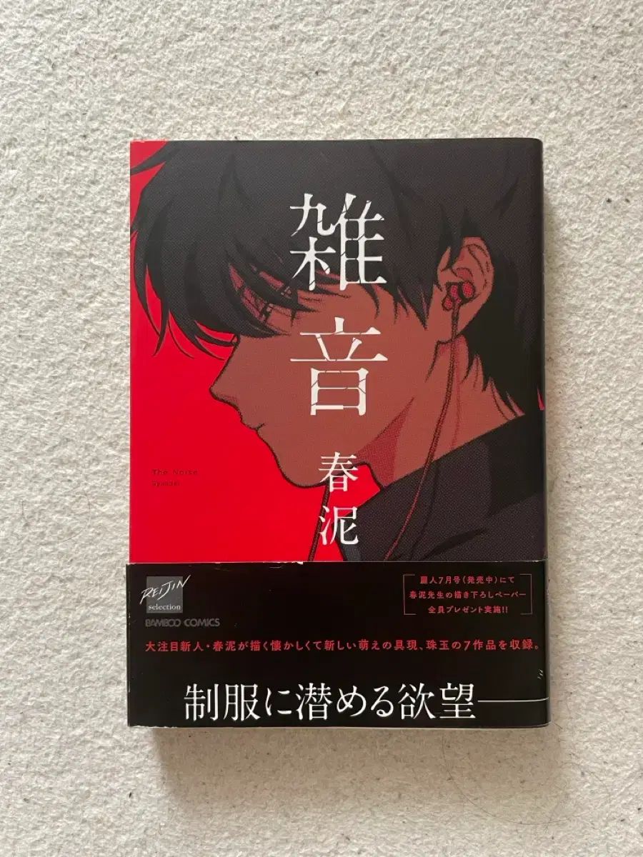 日曜日 ノイズ 願書