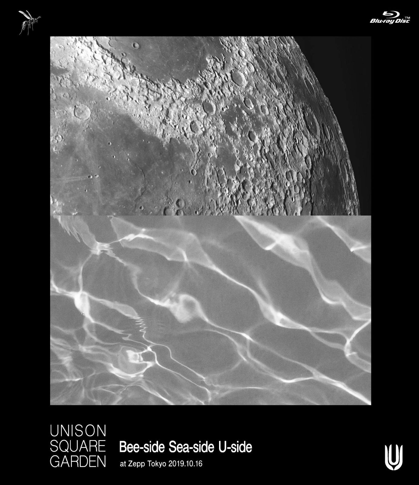 UNISON SQUARE GARDEN「Bee-side Sea-side U-side」at Zepp Tokyo 2019.10.16 (Blu-ray盤[BD + 2 LIVE CD])