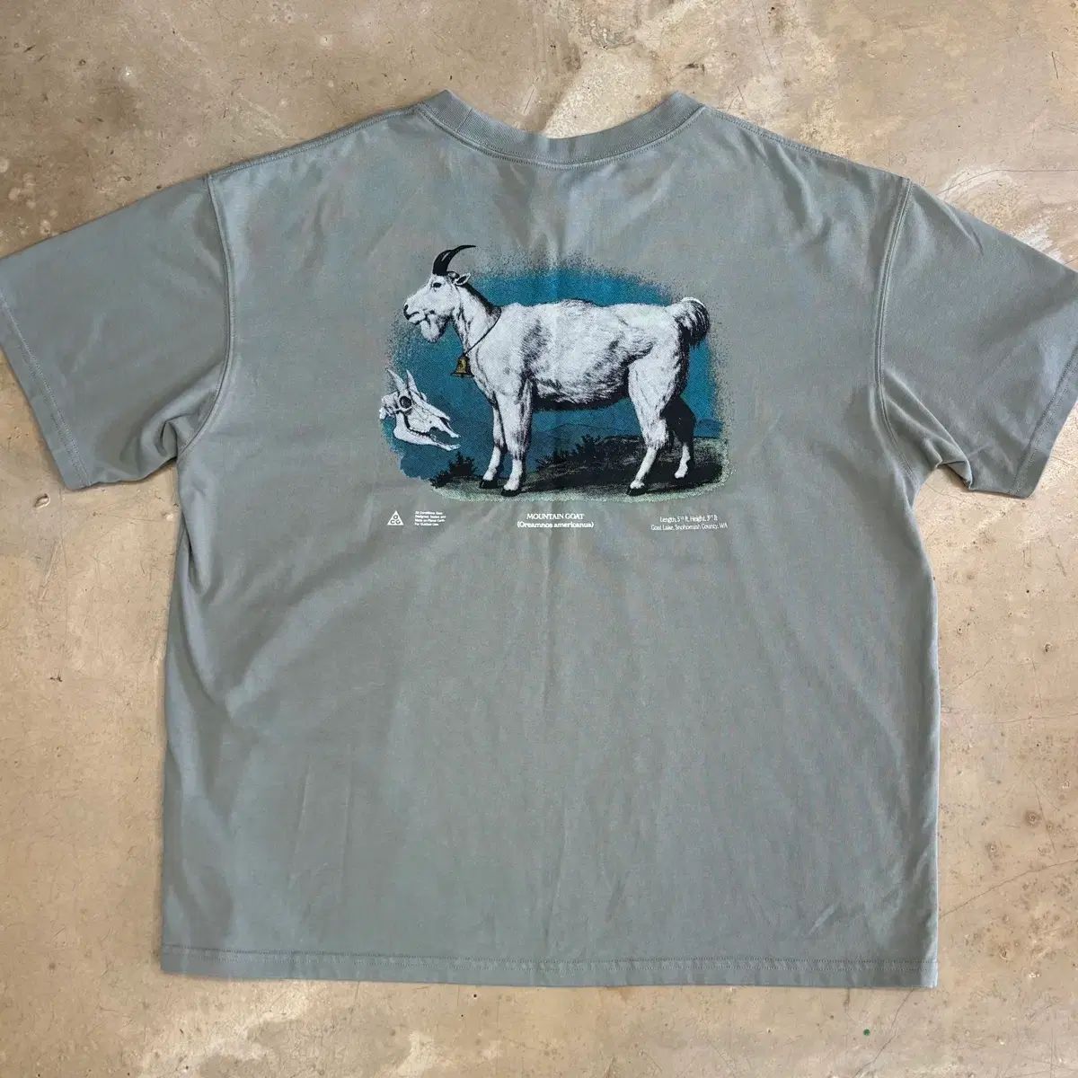 ナイキ ACG プリンティング 半袖Tシャツ XXL