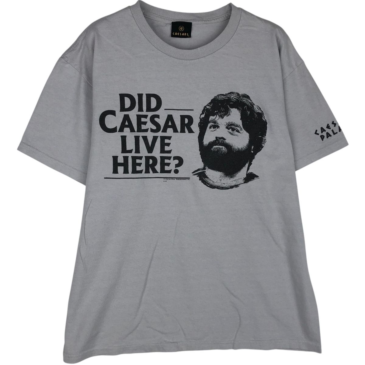 古着 CAESARS The Hangover ハングオーバー 映画 ムービーTシャツ メンズM相当/eaa646347