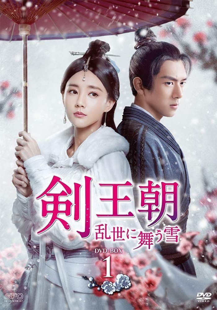 剣王朝~乱世に舞う雪~ DVD-BOX1