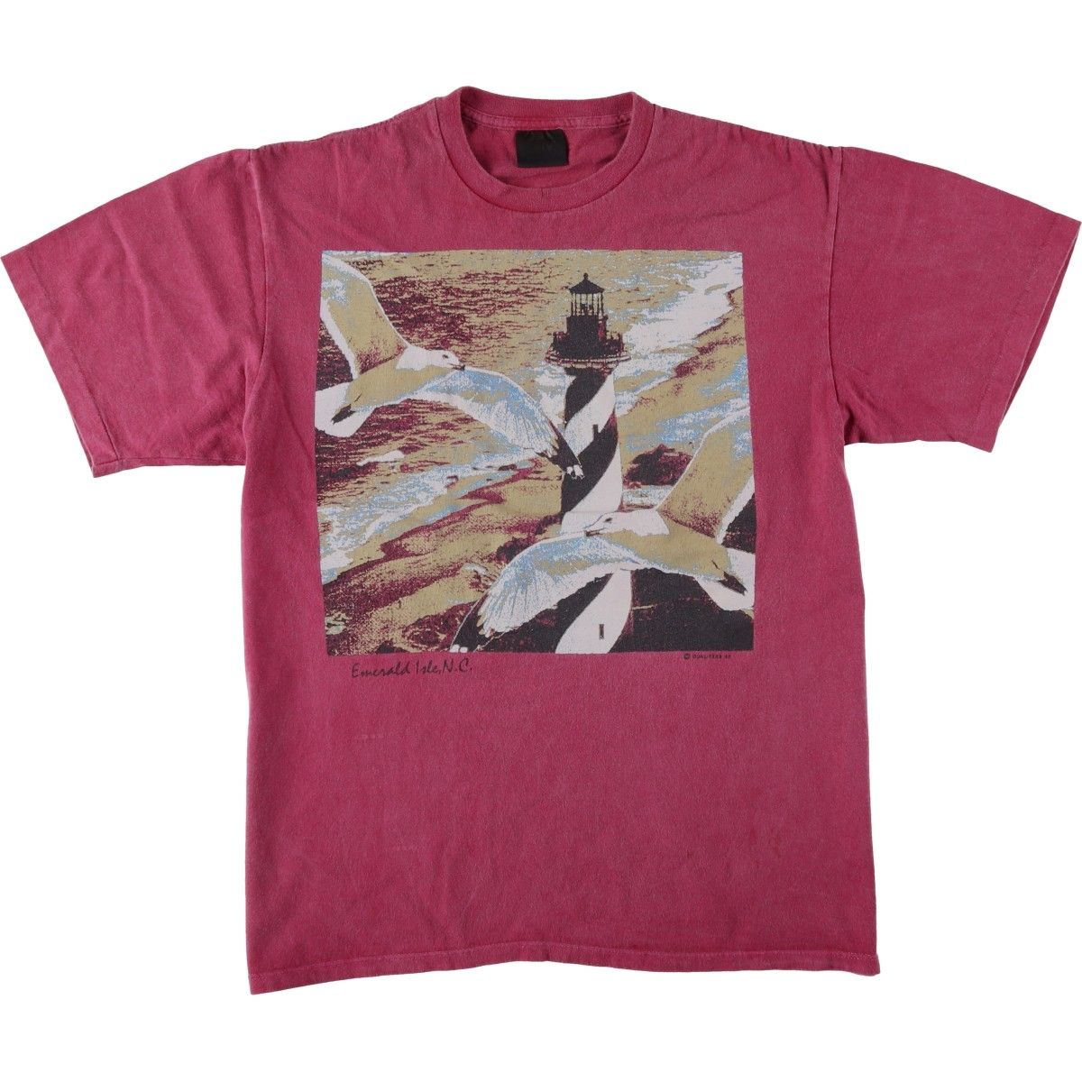 古着 90年代 touch of gold 鳥柄 プリントTシャツ メンズL相当 ヴィンテージ/eaa646153