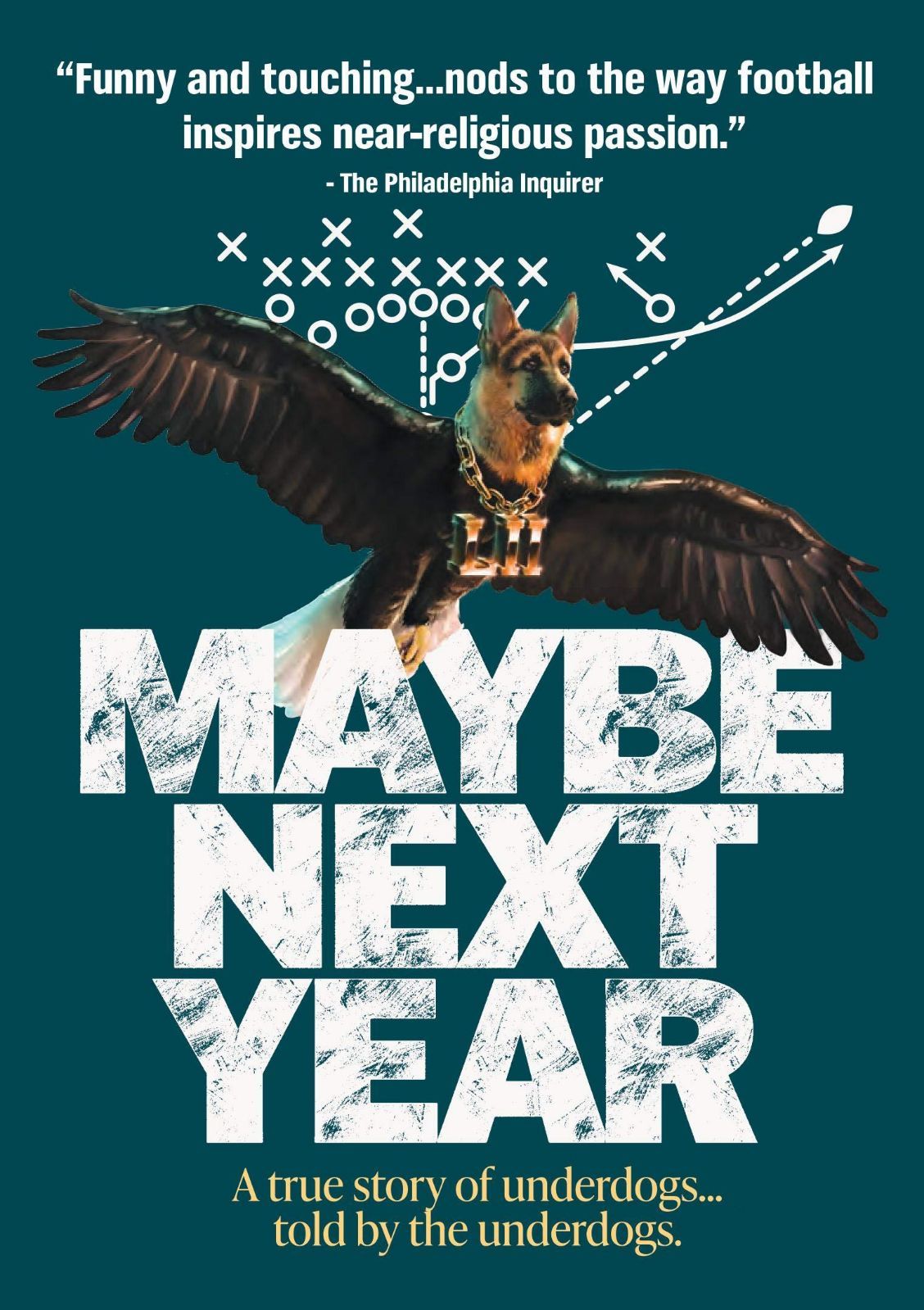 Maybe Next Year [DVD]
