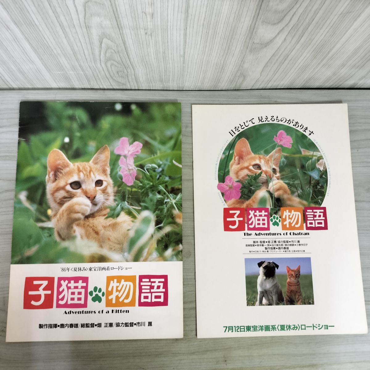 映画パンフレット 子猫物語 チラシ スチール ロビー付 ムツゴロウ 坂本